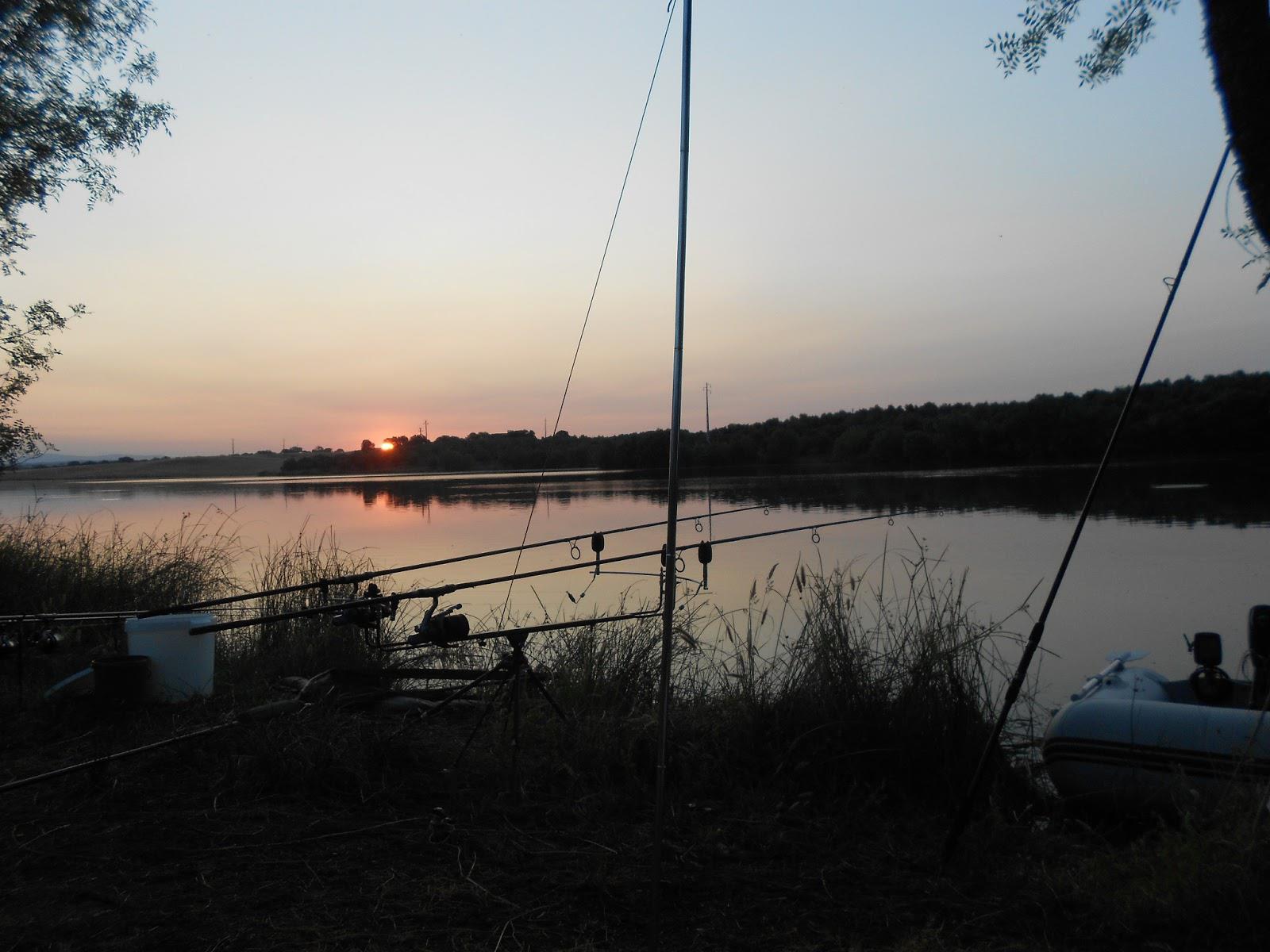 pescuitul+natura - dscn1281.JPG